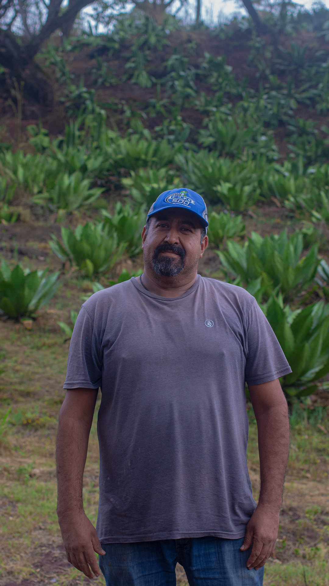 Juan Pérez