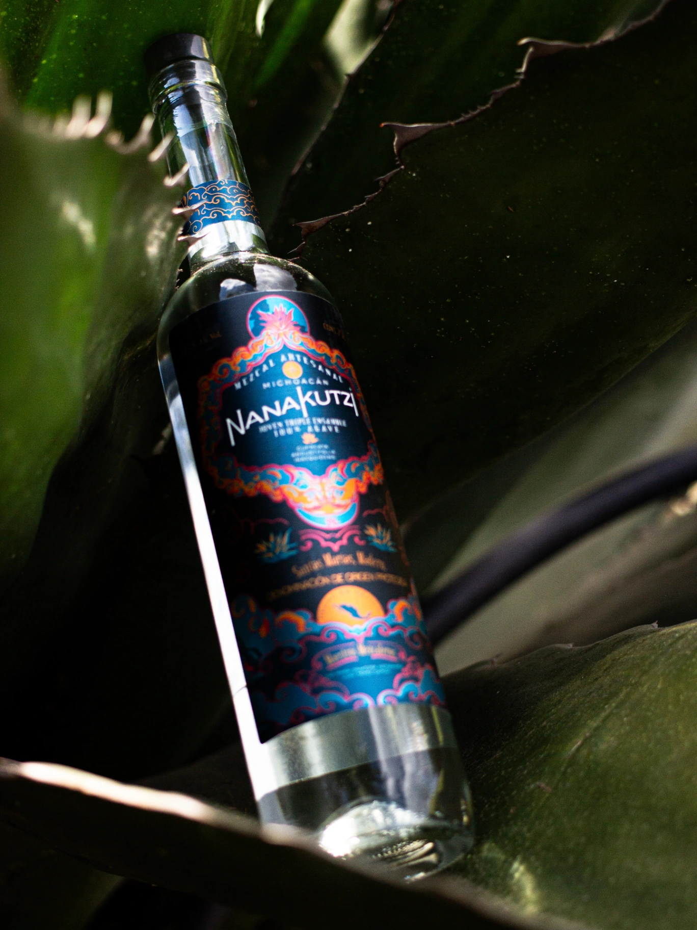Botella de mezcal artesanal Nanakutzi Joven Triple Ensamble entre hojas de agave de Michoacán