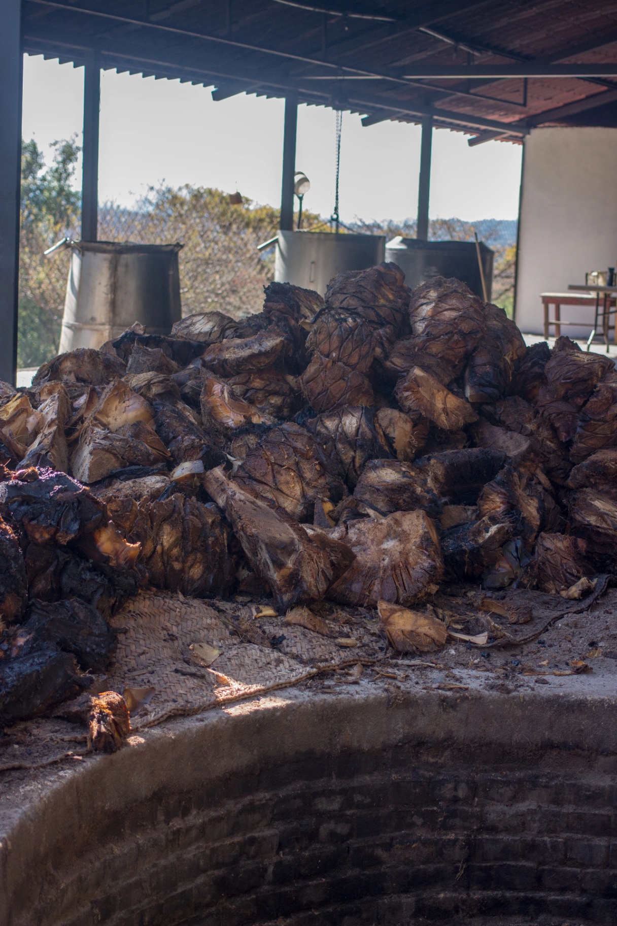 Molienda del agave 2