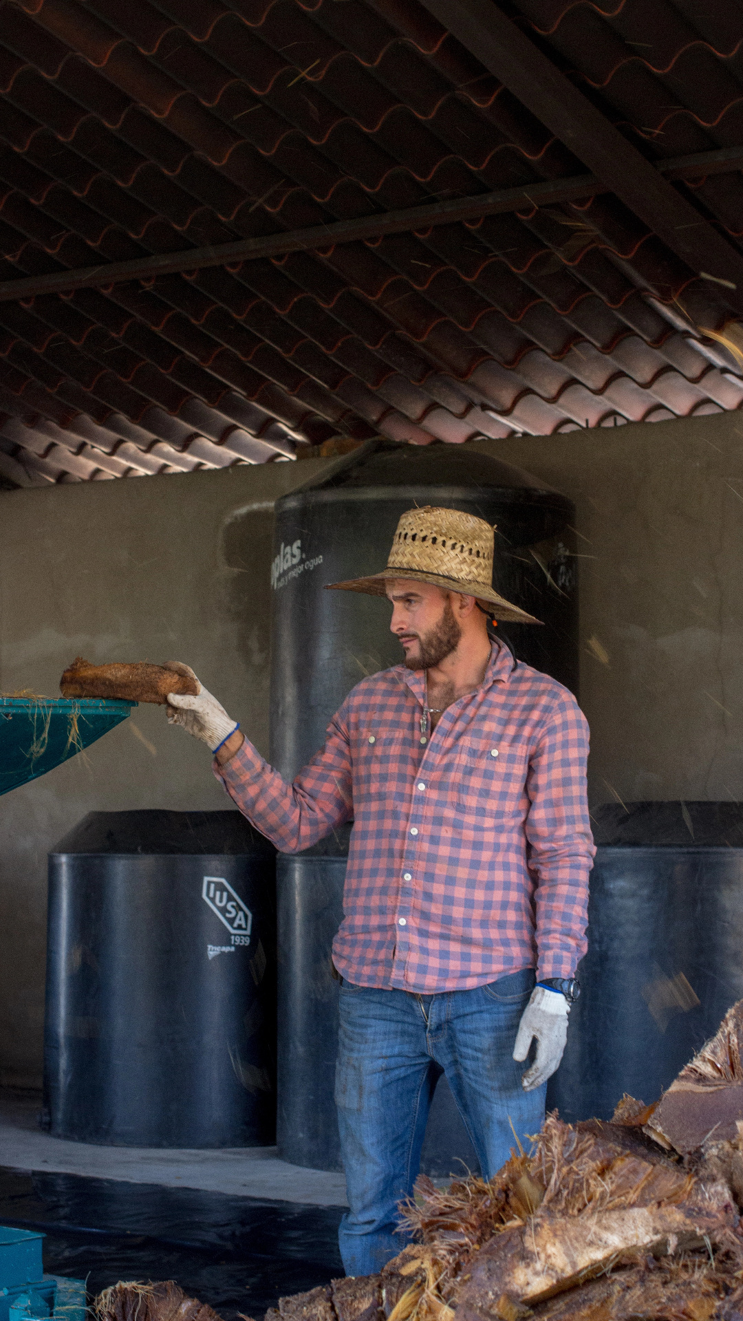 Molienda del agave 4