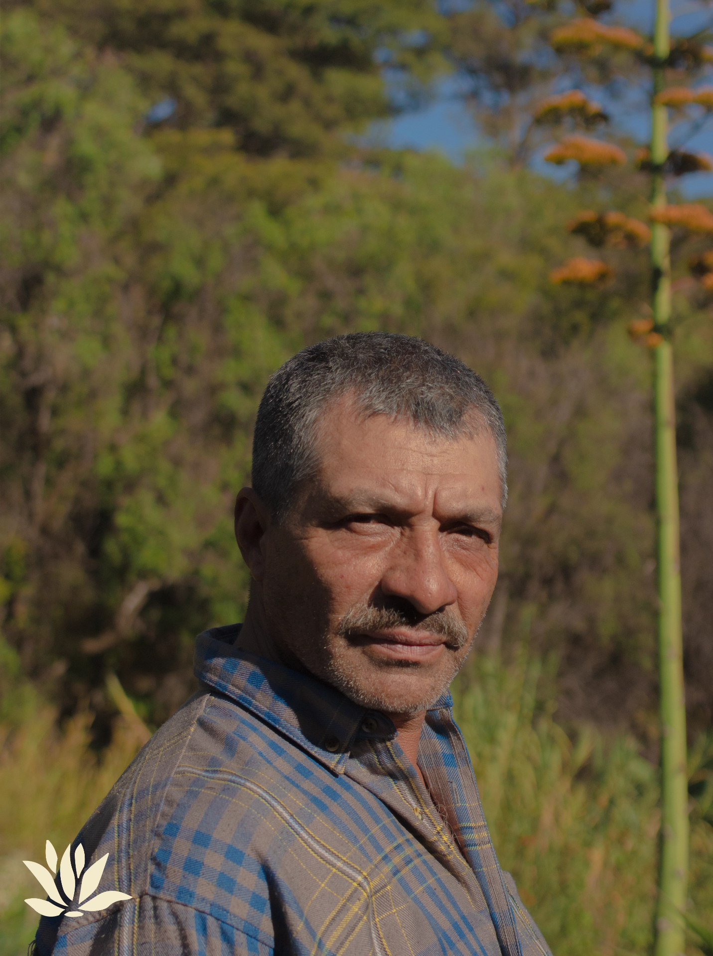 Octavio Miranda